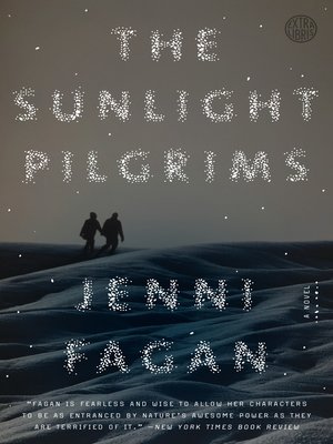 cover image of The Sunlight Pilgrims
